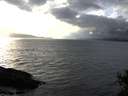 ./images/koeye/fitz-hugh/20141102/fitz-hugh20141102_150502.jpg