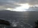 ./images/koeye/fitz-hugh/20141102/fitz-hugh20141102_162501.jpg