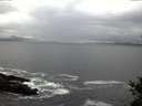 ./images/koeye/fitz-hugh/20141102/fitz-hugh20141102_171003.jpg