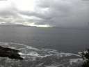 ./images/koeye/fitz-hugh/20141102/fitz-hugh20141102_172003.jpg