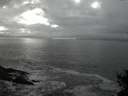 ./images/koeye/fitz-hugh/20141102/fitz-hugh20141102_174003.jpg