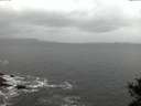 ./images/koeye/fitz-hugh/20141103/fitz-hugh20141103_071003.jpg