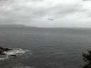 ./images/koeye/fitz-hugh/20141103/fitz-hugh20141103_071502.jpg