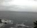 ./images/koeye/fitz-hugh/20141103/fitz-hugh20141103_072002.jpg
