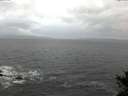 ./images/koeye/fitz-hugh/20141103/fitz-hugh20141103_073502.jpg