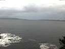 ./images/koeye/fitz-hugh/20141103/fitz-hugh20141103_074501.jpg