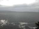 ./images/koeye/fitz-hugh/20141103/fitz-hugh20141103_075002.jpg