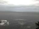 ./images/koeye/fitz-hugh/20141103/fitz-hugh20141103_075501.jpg