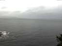 ./images/koeye/fitz-hugh/20141103/fitz-hugh20141103_082002.jpg