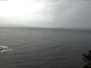 ./images/koeye/fitz-hugh/20141103/fitz-hugh20141103_090502.jpg