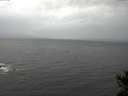 ./images/koeye/fitz-hugh/20141103/fitz-hugh20141103_091002.jpg