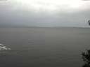 ./images/koeye/fitz-hugh/20141103/fitz-hugh20141103_091502.jpg