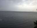 ./images/koeye/fitz-hugh/20141103/fitz-hugh20141103_092502.jpg