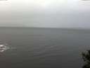 ./images/koeye/fitz-hugh/20141103/fitz-hugh20141103_095002.jpg