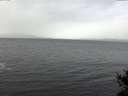 ./images/koeye/fitz-hugh/20141103/fitz-hugh20141103_100003.jpg