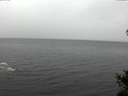 ./images/koeye/fitz-hugh/20141103/fitz-hugh20141103_102002.jpg