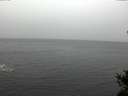 ./images/koeye/fitz-hugh/20141103/fitz-hugh20141103_105002.jpg