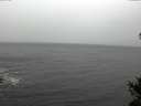 ./images/koeye/fitz-hugh/20141103/fitz-hugh20141103_111002.jpg