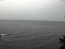 ./images/koeye/fitz-hugh/20141103/fitz-hugh20141103_112502.jpg