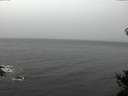 ./images/koeye/fitz-hugh/20141103/fitz-hugh20141103_114503.jpg