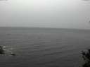 ./images/koeye/fitz-hugh/20141103/fitz-hugh20141103_115002.jpg