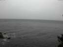 ./images/koeye/fitz-hugh/20141103/fitz-hugh20141103_121503.jpg