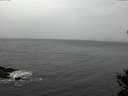 ./images/koeye/fitz-hugh/20141103/fitz-hugh20141103_123502.jpg