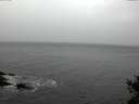 ./images/koeye/fitz-hugh/20141103/fitz-hugh20141103_124502.jpg