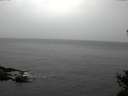 ./images/koeye/fitz-hugh/20141103/fitz-hugh20141103_125002.jpg