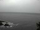 ./images/koeye/fitz-hugh/20141103/fitz-hugh20141103_131003.jpg