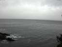 ./images/koeye/fitz-hugh/20141103/fitz-hugh20141103_132002.jpg