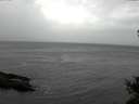./images/koeye/fitz-hugh/20141103/fitz-hugh20141103_132502.jpg