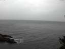 ./images/koeye/fitz-hugh/20141103/fitz-hugh20141103_133502.jpg