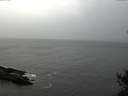 ./images/koeye/fitz-hugh/20141103/fitz-hugh20141103_134003.jpg