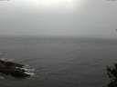 ./images/koeye/fitz-hugh/20141103/fitz-hugh20141103_135502.jpg