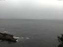 ./images/koeye/fitz-hugh/20141103/fitz-hugh20141103_140002.jpg