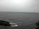 ./images/koeye/fitz-hugh/20141103/fitz-hugh20141103_141502.jpg