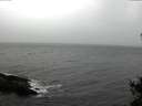 ./images/koeye/fitz-hugh/20141103/fitz-hugh20141103_142503.jpg
