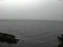 ./images/koeye/fitz-hugh/20141103/fitz-hugh20141103_143501.jpg