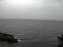 ./images/koeye/fitz-hugh/20141103/fitz-hugh20141103_144001.jpg