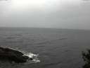 ./images/koeye/fitz-hugh/20141103/fitz-hugh20141103_145002.jpg