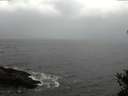 ./images/koeye/fitz-hugh/20141103/fitz-hugh20141103_145502.jpg