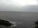 ./images/koeye/fitz-hugh/20141103/fitz-hugh20141103_150501.jpg