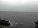 ./images/koeye/fitz-hugh/20141103/fitz-hugh20141103_151002.jpg