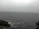 ./images/koeye/fitz-hugh/20141103/fitz-hugh20141103_151502.jpg