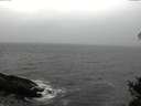 ./images/koeye/fitz-hugh/20141103/fitz-hugh20141103_152001.jpg