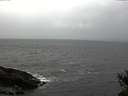 ./images/koeye/fitz-hugh/20141103/fitz-hugh20141103_152502.jpg