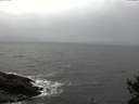 ./images/koeye/fitz-hugh/20141103/fitz-hugh20141103_153502.jpg