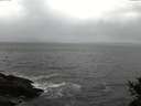 ./images/koeye/fitz-hugh/20141103/fitz-hugh20141103_154003.jpg