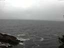 ./images/koeye/fitz-hugh/20141103/fitz-hugh20141103_154502.jpg